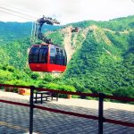 Parwanoo Timber Trail Travel Guide and Tourism in Solan, Himachal Pradesh