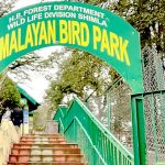 Himalayan Bird Park Travel Guide and Tourism in Shimla, Himachal Pradesh
