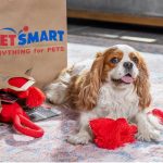 Pet Supplies, Accessories, and Pet Food – Pet Stores