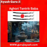 Powerful Vashikaran Specialist in Delhi | Aghori Tantrik Baba in Delhi – Get Instant Solutions