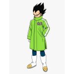 vegeta green jacket
