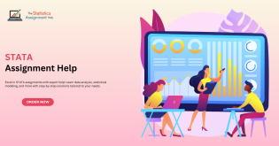 STATA Assignment Help, Help with STATA Assignment, Do My STATA Assignment