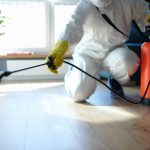 10 Signs You Need to Call an Exterminator Immediately