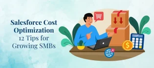 Salesforce Cost Optimization
