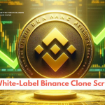 What Makes a White-Label Binance Clone Script the Best Choice for Startup Exchanges?