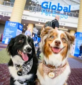 globalpetexpo