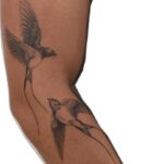 smoke alarm installers gold coast