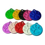 Why Pet ID Tags Still Matter in 2026