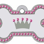Stainless Steel Dog Name Tags: Strong Identification for Everyday Pet Safety