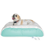 Ultimate Guide to Choosing the Perfect Bean Bag Bed for Your Dog