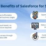 Can Salesforce Customization Services for SMBs Unlock Growth?