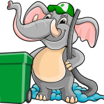 Professional Trash Bin Cleaner Services for a Healthier Home