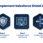 How Does Salesforce Shield Safeguard Your Information?
