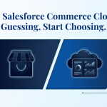 Selecting the Best Option for Your Company: Shopify vs. Salesforce Commerce Cloud