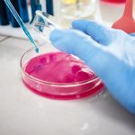 Gel Permeation Chromatography Market Size, Share & Forecast 2024–2033