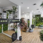 Jardines Verticales Decoración: Ideas Modernas para Transformar tus Espacios