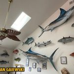 Premium Fish Mount Replica Services for Lasting Memories