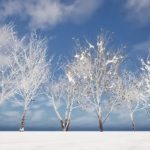 High-Quality VRScene Vray Proxy Plants 3D Models for Realistic Rendering