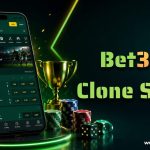 How Does a Bet365 Clone Script Help Create a User Friendly Betting Platform?