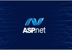hire dot net developers