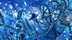 Amniotic Tissue Allograft: Understanding Donated Human Tissue in Clinical Practice