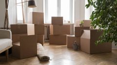 How Printed Packaging Helps Businesses Build Stronger Product Experiences