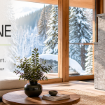 Soapstone Masonry Heaters