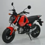 New Motorcycle Sale Texas Options for Every Rider