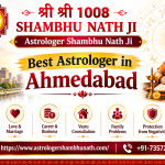 Best Astrologer in Ahmedabad