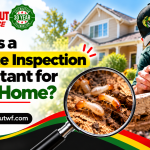 Why Is a Termite Inspection Important for Your Home?
