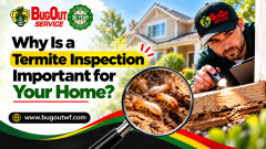 Why Is a Termite Inspection Important for Your Home?