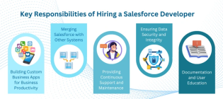 Salesforce developer