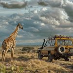 How to Plan the Perfect Luxury Tanzania Safari Experience