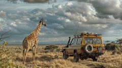 How to Plan the Perfect Luxury Tanzania Safari Experience
