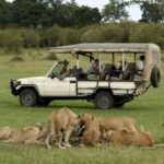 A Guide to Experiencing Africa’s Majestic Landscapes and Wildlife
