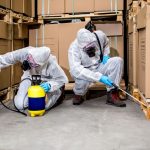 Residential vs. Commercial Pest Control: What You Need to Know