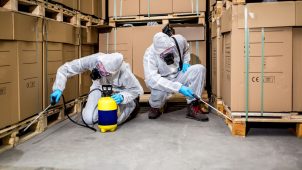 exterminators in san fernando valley