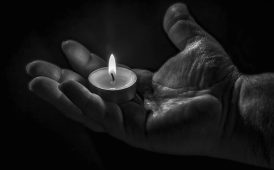 Rockford Cremation
