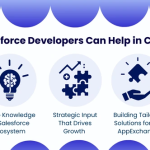 Salesforce Developers’ Contribution to CRM Success