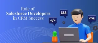 Role of Salesforce Developers
