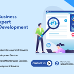 Why Your Business Needs an Expert AngularJS Development Partner