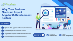 Why Your Business Needs an Expert AngularJS Development Partner